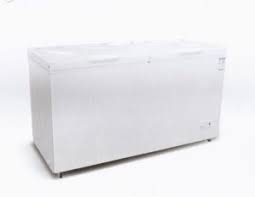 SKYRUN FREEZER BD550W